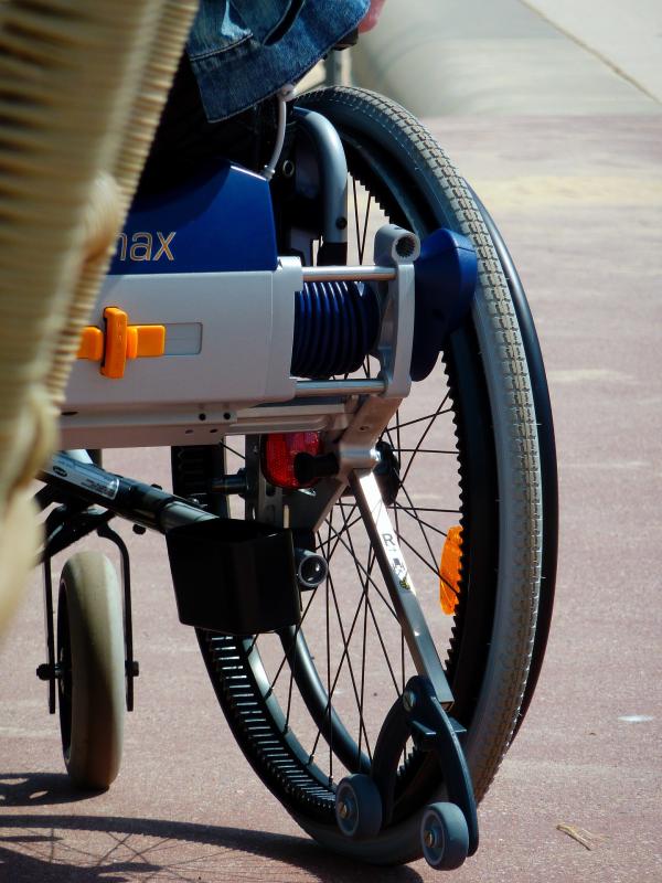 Regulada la admisión de sillas de ruedas con motor eléctrico y escúteres, así como el acceso de perros de apoyo a personas diabéticas y epilépticas en el transporte