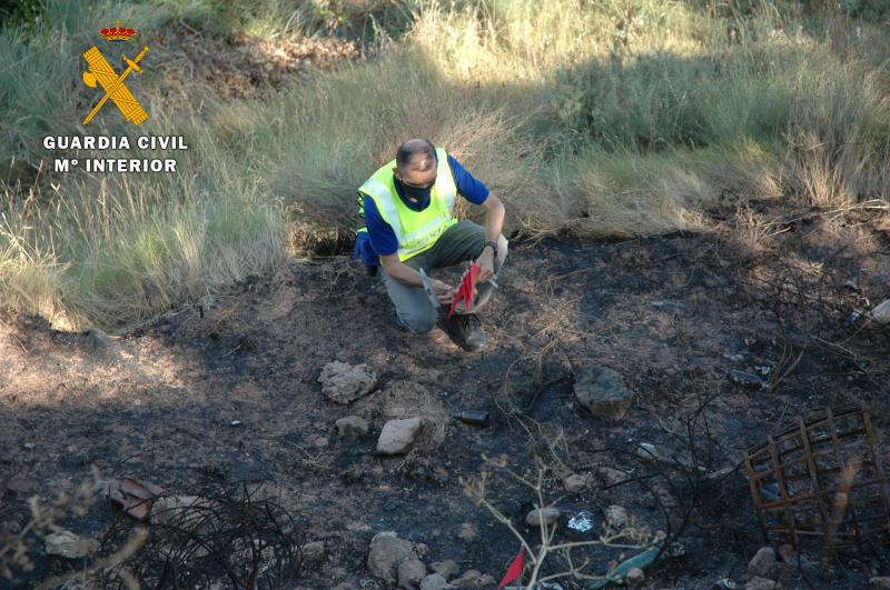 El Seprona esclarece el incendio que arrasó 1.500 metros cuadrados de pasto y pino en Alberite 