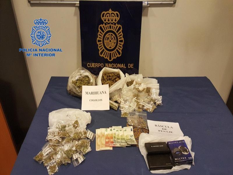 La Policía Nacional  detiene en Pamplona al presidente de una asociación cannabica por tráfico de drogas