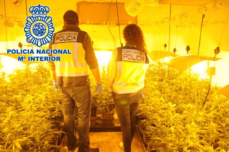 La Policía Nacional desmantela una plantación de marihuana en una localidad de la comarca de Uribe (Bizkaia)