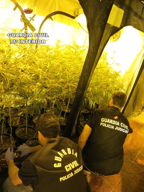 La Guardia Civil desmantela una plantación “Indoor” de marihuana en Muxika (Bizkaia) y detiene a dos personas