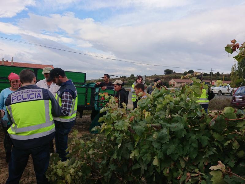 La Policía Nacional detiene a 17 personas durante la campaña de inspección en la Rioja Alavesa