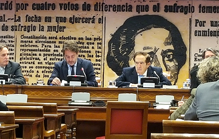 Bermúdez de Castro en la Comisión Constitucional del Senado