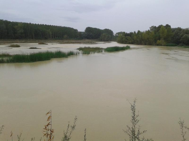 Dos proyectos desarrollados por el Ministerio de Agricultura, Alimentación y Medio Ambiente en los ríos Segura y Aragón, seleccionados entre las tres mejores iniciativas de restauración fluvial de Europa